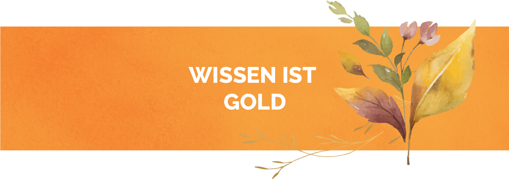 Banner_Orange
